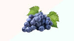 Grapes Black