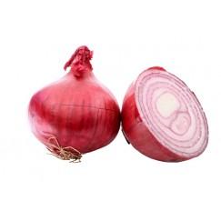 Onion